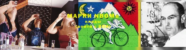 тгк Аркадак
