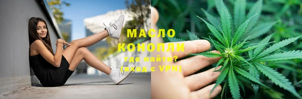 индика Армянск
