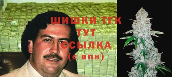 тгк Аркадак