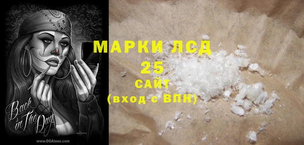 индика Армянск