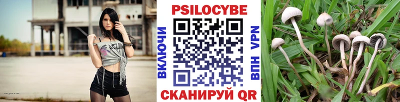 Галлюциногенные грибы Psilocybine cubensis Тырныауз