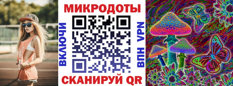 закладка Тырныауз Псилоцибиновые грибы мицелий